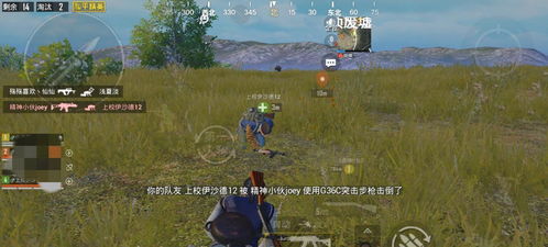 博主炮轰光追,游戏中最没用的功能? 博主炮轰光追,游戏中最没用的功能?