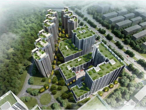 小月月真相解密，2026年最新网络谣言识别实战指南