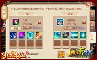 梦幻诛仙宠物系统终极解析,高玩私藏的炼妖打书全链路攻略 梦幻诛仙宠物系统终极解析,高玩私藏的炼妖打书全链路攻略