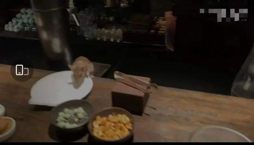 肉贩被老顾客刀尖误伤?回应称玩笑 肉贩被老顾客刀尖误伤?回应称玩笑