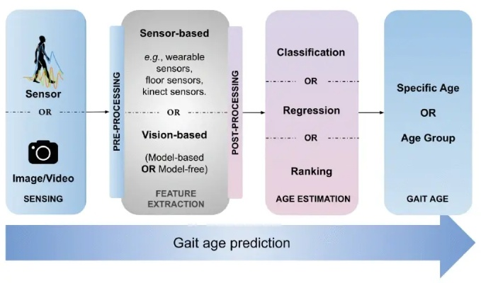 一、自动走路的三大技术架构与2026年检测机制