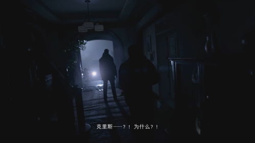 PS5 Pro 生化危机 9新补丁遭吐槽，移除光追还降低画质