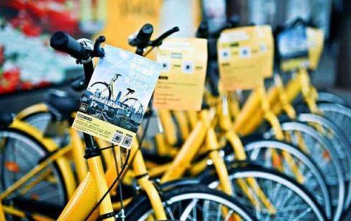 鼠大王单车类型终极指南，2026年3月最新实战数据揭秘，选对载具胜率翻倍！