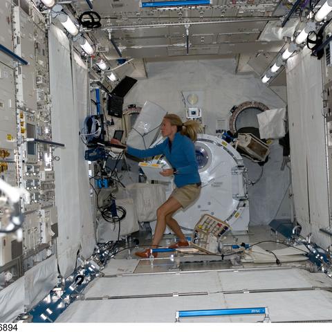 星辰传说官网最新数据，2026Q1职业胜率暴跌榜，这3个职业千万别碰