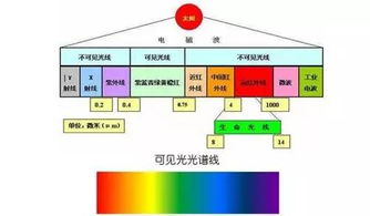 一、客户端类型光谱,从官方化石到私服变种 一、客户端类型光谱,从官方化石到私服变种
