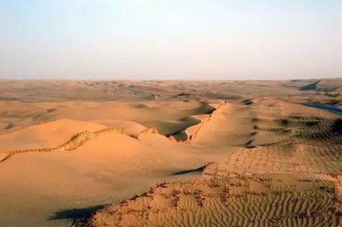 濒危沙漠最后防线,2026毛乌素消失真相与库布齐治理黑科技 濒危沙漠最后防线,2026毛乌素消失真相与库布齐治理黑科技