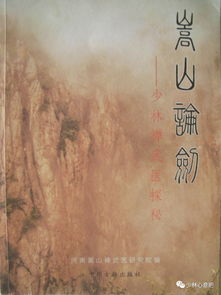 九阴真经少林类型全解析，2026年新版刚柔禅三系定位与实战养成指南
