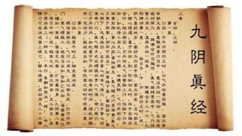 九阴真经粗布类型怎么选？2026新手到老手的材质匹配全攻略