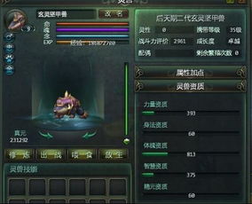 2026万兽山庄内功终极抉择，兽心诀深度机制拆解与三套T0搭配方案