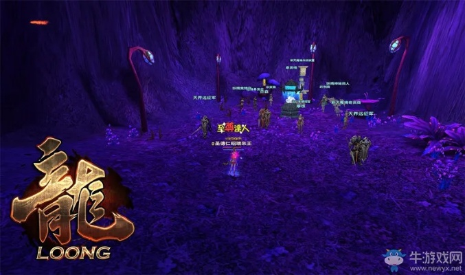 龙OL副本全类型通关密码，2026最新机制拆解与速刷配置指南