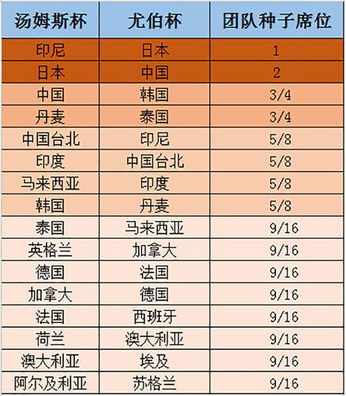 时空杯到底是什么？2026年最新赛制解析与平民上分实战指南