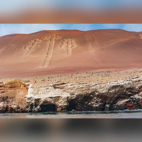 红色沙漠官方发声,测试用D加密版本,对性能毫无影响 红色沙漠官方发声,测试用D加密版本,对性能毫无影响