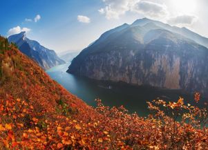 瞿塘峡经验团2026年1月最新效率实测，从入门到精通的全维度打法拆解