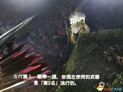 怪物猎人荒野武器梯度榜2026，为什么太刀使用率38%却非版本答案？