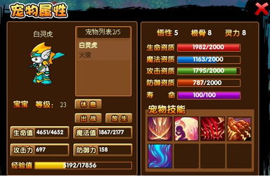 2026虎丸培养终极指南，造梦西游3攻击宠物天花板养成全解析