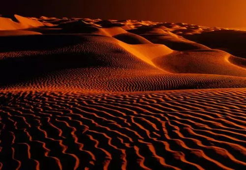 数毛社力荐红色沙漠，堪称我所体验过最出色的开放世界之一