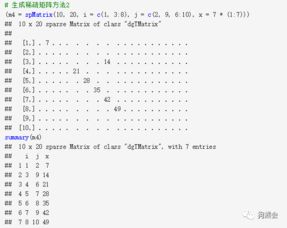 龙珠进化类型实战全解，2026年Q1版本答案与资源运筹绝密手册