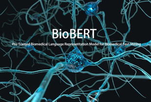 科学家将果蝇大脑模型上载虚拟世界 数字生命体真的要来了？