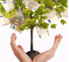 限时揭秘，2026最新摇钱树种子获取全途径与暴利种植法