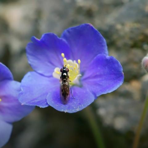 魔兽攻略,2026赛季大秘境治疗生存法则与数据化实战破局 魔兽攻略,2026赛季大秘境治疗生存法则与数据化实战破局