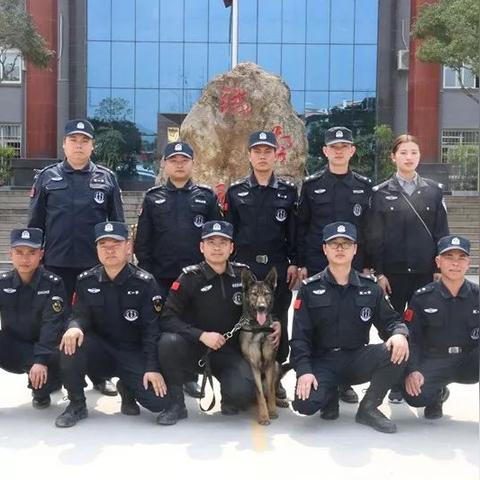 弹头奇兵2多人对战老输?2026年最新炸弹连锁反应战术拆解 弹头奇兵2多人对战老输?2026年最新炸弹连锁反应战术拆解