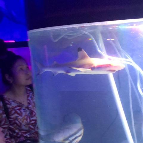 2026年3月最新，如何一眼识破鱼缸馆骗局？海洋馆玩家内部实战解码