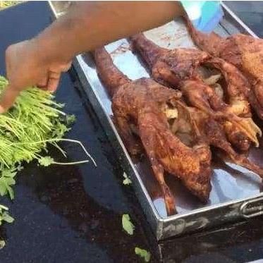 日本大量引进印度游客遭国民吐槽，有味道问题引关注！