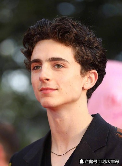 甜茶中国行宣发画风抽象引关注，网友直呼像AI创作太诡异