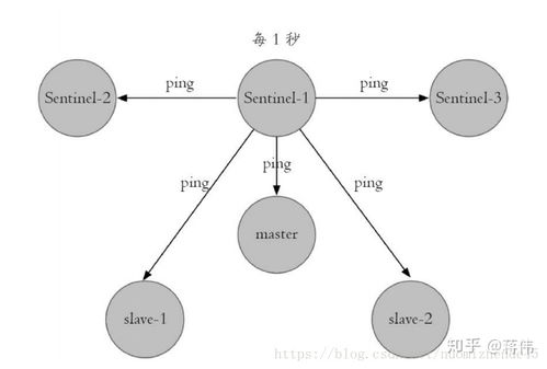 双形态机制裂变，从切换到共生