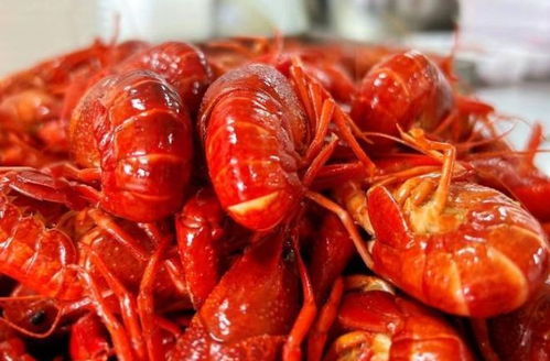 想快速拥有百款大模型?360安全龙虾10分钟就能搞定! 想快速拥有百款大模型?360安全龙虾10分钟就能搞定!