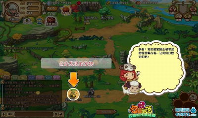 石器部落新手立即避坑,官方隐藏数据与实战培养路线图 石器部落新手立即避坑,官方隐藏数据与实战培养路线图