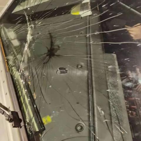 现场画面曝光！波音737客机遭鸟击，客舱玻璃惊现开裂情况