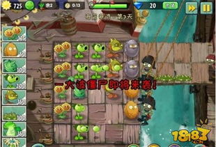 海盗港湾第7天传送带噩梦？3分钟破解船长僵尸偷家困局