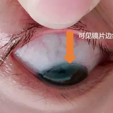 镜之边缘精神续作来袭！PanlineSteam商店页已正式上线