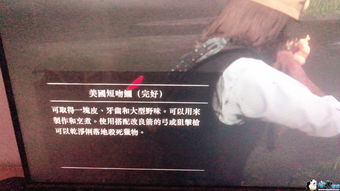 荒野大镖客2完美狩猎终极指南，从弹药选择到尸体处理的完整SOP