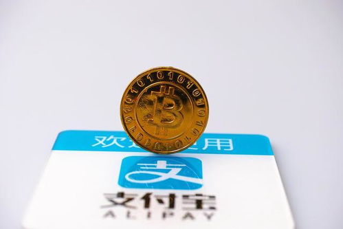 符咒世家卡关破局，3套T0级符咒链搭配与隐藏机制全拆解