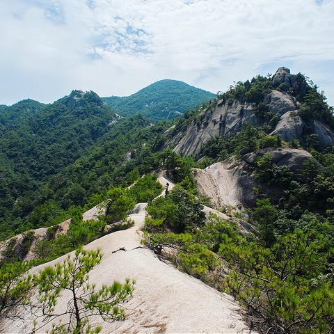 红色沙漠新手村徒步4小时才能出?玩家质疑,大就一定好吗? 红色沙漠新手村徒步4小时才能出?玩家质疑,大就一定好吗?