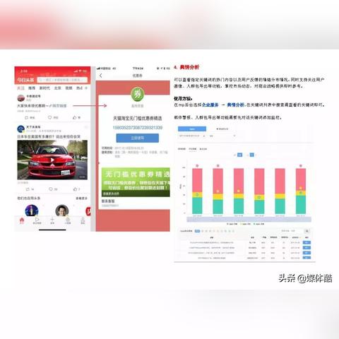 一、四大执照体系的基因差异