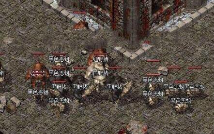 传奇3世界地图隐藏BOSS在哪？2026年最新坐标+速通路线全揭秘