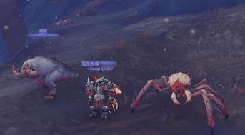 WOW战士三系拥抱流终极抉择，2026首季数据揭示最强形态