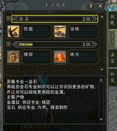 Fable 3被遗忘的王权系统，深度解析君主模式生存法则