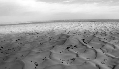 直面质疑!红色沙漠20分钟PS5基础版实机画面重新创作曝光 直面质疑!红色沙漠20分钟PS5基础版实机画面重新创作曝光