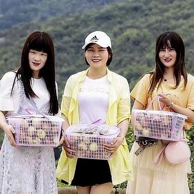 一、桃园激活码的4大隐藏类型，你手里的码可能从根上就用不了