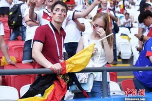 德国球迷圈鄙视链真相，2026最新德迷类型测试+实战入门手册