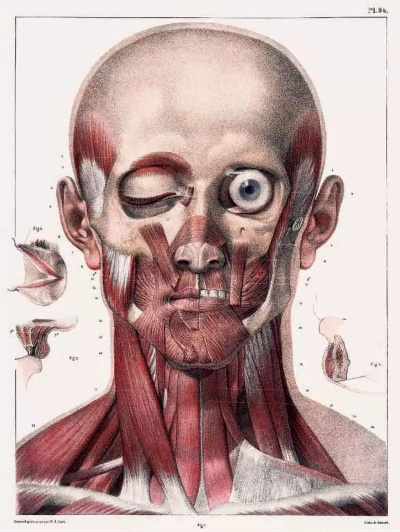 排行榜类型解剖，为什么总推荐不到你想要的？