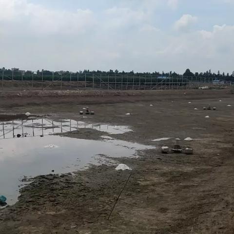 部分小龙虾已惨遭人类弃养!网友自嘲养虾是自讨苦吃