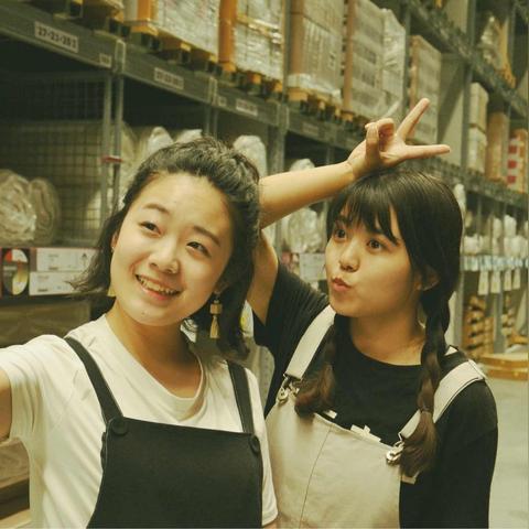 宫14类型选择全攻略,2026年最新强度梯度与隐藏机制实战解析 宫14类型选择全攻略,2026年最新强度梯度与隐藏机制实战解析