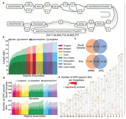 类型基因解码,轨道射击的伪装与本质 类型基因解码,轨道射击的伪装与本质