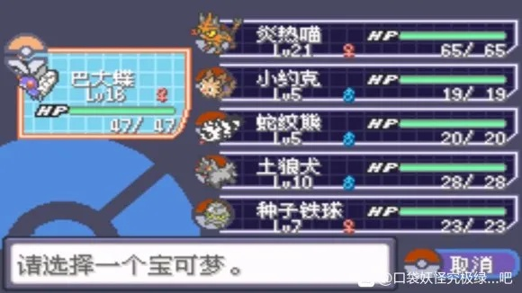 PM4复刻通关神攻略，钻石珍珠白金一周目必胜技巧与神兽捕捉全解析