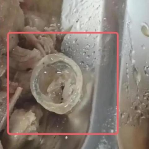 多人模拟合作游戏胡闹赶鸭Steam页面亮相，赶鸭好声音赛事开启！